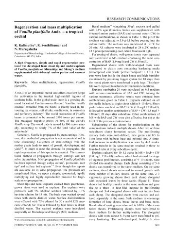 Regeneration and mass multiplication of Vanilla planifolia Andr. – a ...