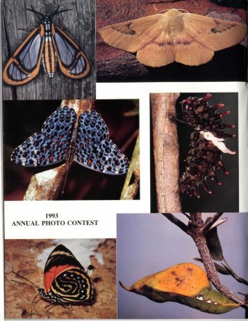 Lödl, M. 1993. The Malaysian hawkmoths: an annotated
