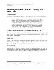 Thai Zingiberaceae : Species Diversity And Their Uses