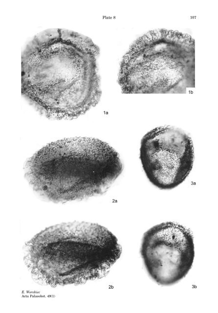 Middle Miocene palynoflora of the Legnica lignite deposit complex ...