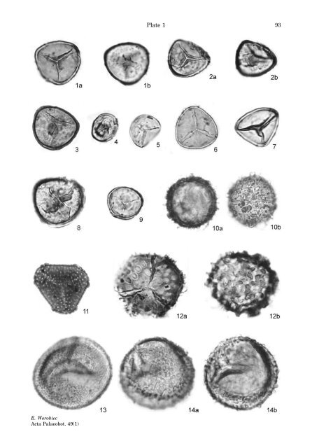 Middle Miocene palynoflora of the Legnica lignite deposit complex ...