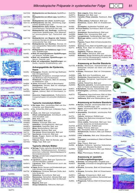 Mikroskopische Präparate in systematischer Folge - lieder.de