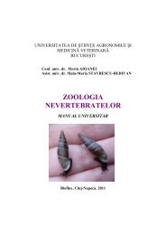 Zoologia nevertebratelor. Manual Universitar - Editura - Bioflux