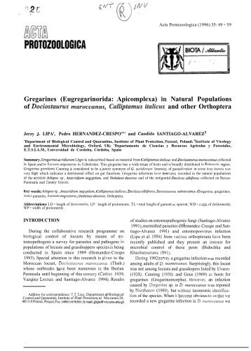 Gregarines (Eugregarinorida: Apicomplexa) in Natural Populations ...