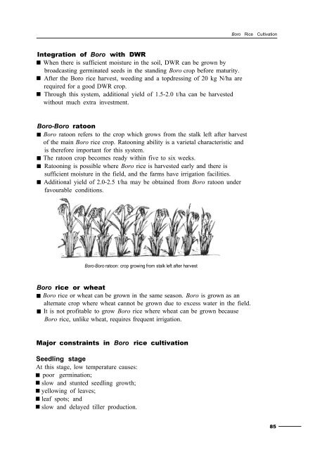 Rainfed rice - IRRI books - International Rice Research Institute