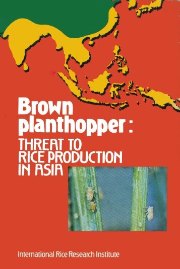 Brown planthopper - IRRI books - International Rice Research Institute