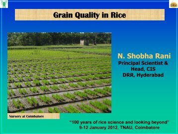 Grain Quality in Rice - TNAU