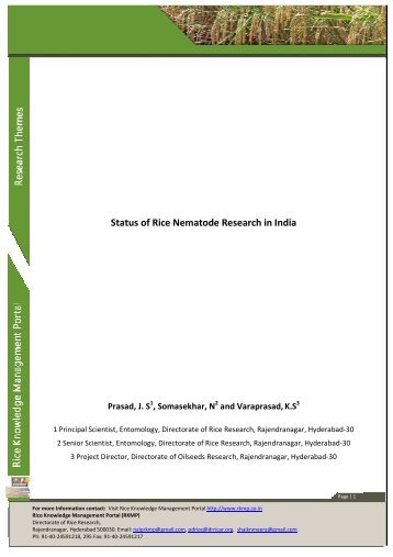 Status of Rice Nematode Research in India.pdf - Rice Knowledge ...