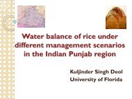 Water balance of rice under different management scenarios in the ...