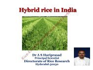 Hybrid rice in India.pdf