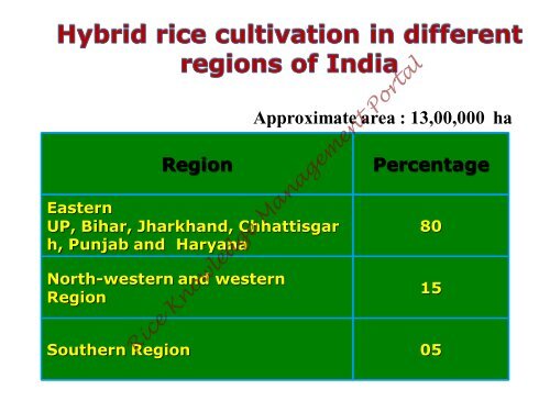 Hybrid rice in India.pdf