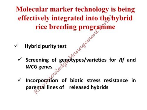 Hybrid rice in India.pdf