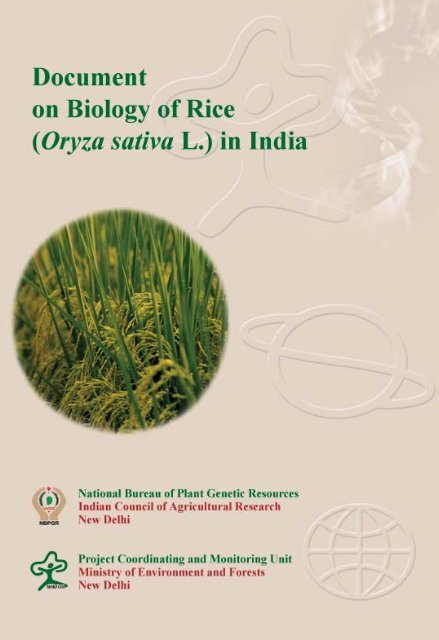 Document on Biology of Rice - National Bureau of Plant Genetic ...