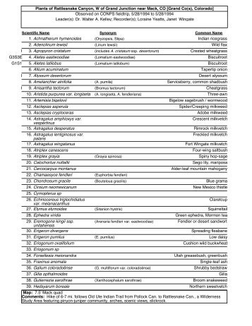 Plants of Rattlesnake Canyon, W of Grand Junction near Mack, CO ...