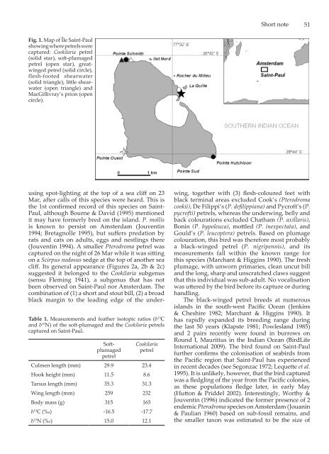 SHORT NOTE New petrel records on Île Saint-Paul, southern Indian ...