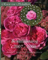 Bestellkatalog 2007 - 2008 - Rosenhof- Schultheis