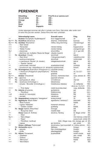 Katalog 2012 - Zetas