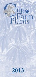 downloadable catalogue - Crug Farm Plants