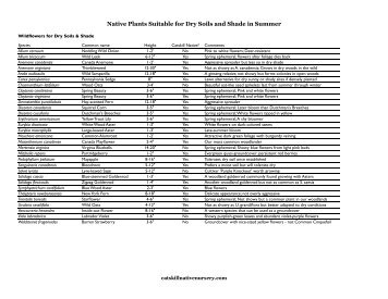 Dry Shade List - Native Plants - Wild Ones Niagara Falls