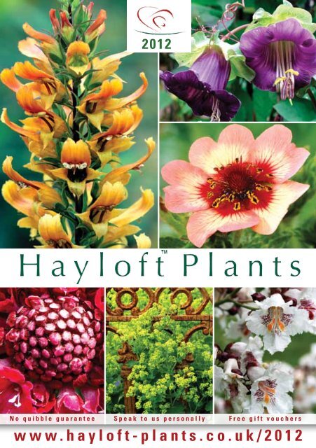 Download The Hayloft 2012 Catalogue Hayloft Plants