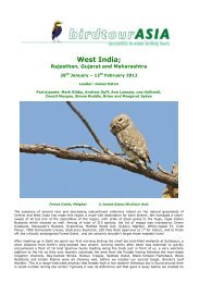 West India; scheduled tour: 28th January - Birdtour Asia