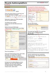 Ricardo Auktionsplattform - InterWebDesign