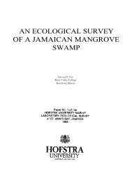 AN ECOLOGICAL SURVEY OF A JAMAICAN MANGROVE SWAMP