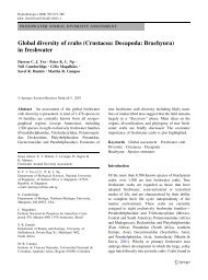 Global diversity of crabs (Crustacea: Decapoda: Brachyura) in ...