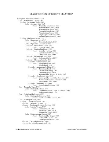 CLASSIFICATION OF RECENT CRUSTACEA