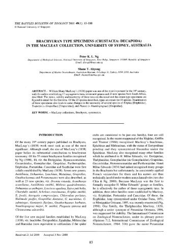 brachyuran type specimens - Raffles Museum of Biodiversity Research