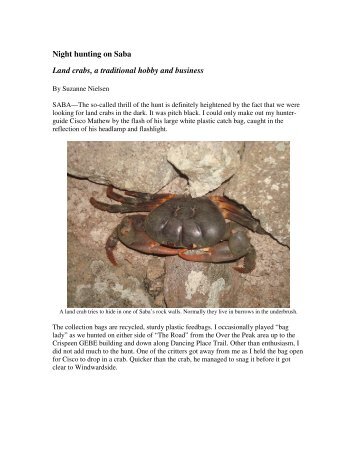 Night hunting on Saba Land crabs, a traditional - Top10WorldMedia