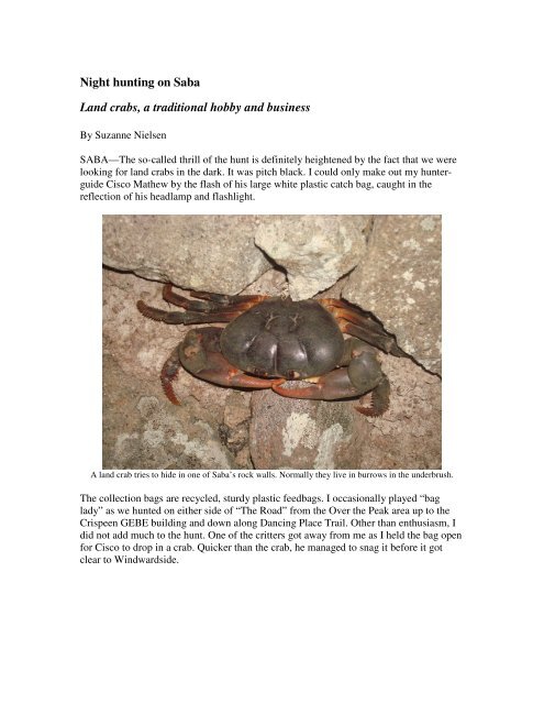 Night hunting on Saba Land crabs, a traditional - Top10WorldMedia