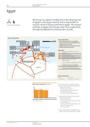 Africa, Middle East And Asia Data Book 2011 - BG Group