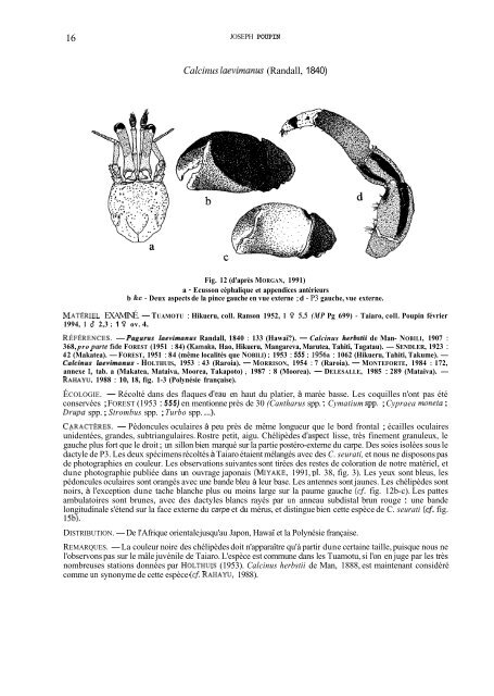 Summary and/or pdf article - Database of Crustacea (Decapoda ...