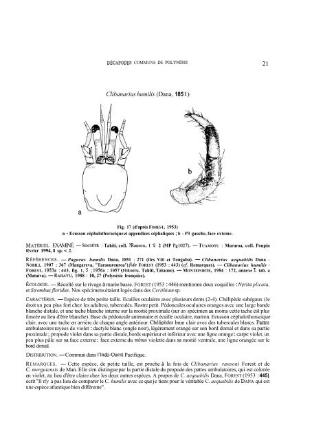 Summary and/or pdf article - Database of Crustacea (Decapoda ...