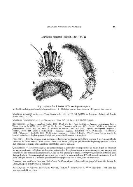 Summary and/or pdf article - Database of Crustacea (Decapoda ...