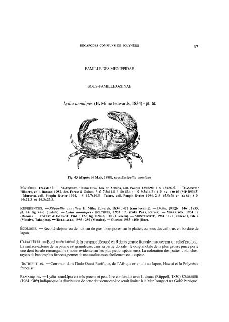 Summary and/or pdf article - Database of Crustacea (Decapoda ...