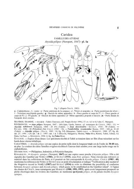 Summary and/or pdf article - Database of Crustacea (Decapoda ...