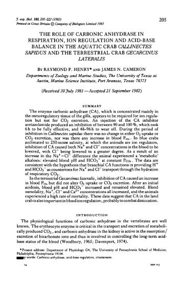 THE ROLE OF CARBONIC ANHYDRASE IN RESPIRATION, ION ...