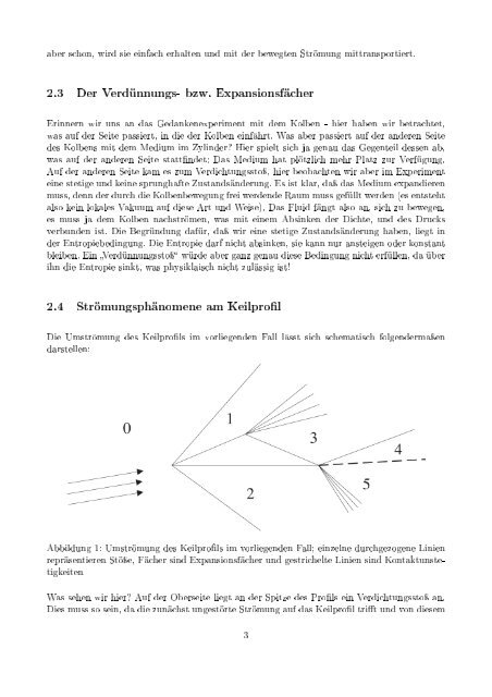 CFD-Programmier-Seminar Übung 1: Numerische Simulation ... - IAG