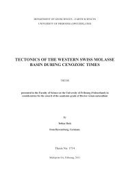 Tectonics of the Western Swiss Molasse Basin during ... - eThesis