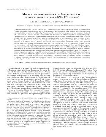 molecular phylogenetics of fouquieriaceae: evidence from nuclear ...