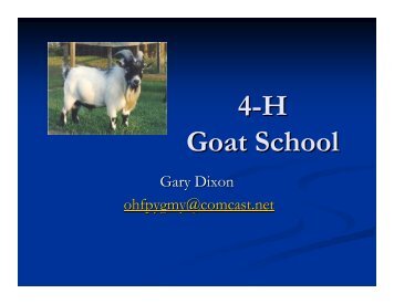 Come to 4-H Goat School! - Sarasota County Extension