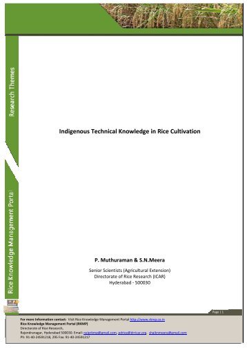 Indigenous Technical Knowledge in Rice Cultivation.pdf