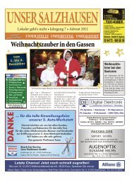 Salzhausen fürs Internet.indd - Samtgemeinde-salzhausen.de