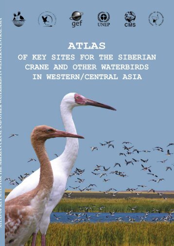 PDF 7382 KB - Siberian Crane Flyway Conservation