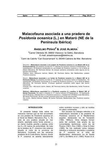 Malacofauna asociada a una pradera de Posidonia ... - MOLLUSC@T