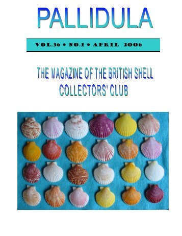 April, 2006 - British Shell Collectors' Club