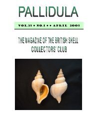 April, 2005 - British Shell Collectors' Club