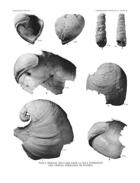 Geology and Paleontology of Canal Zone and Adjoining ... - USGS